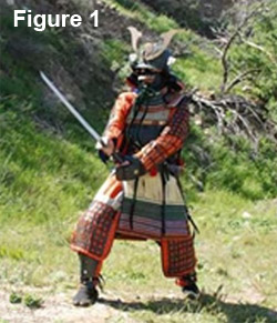 samurai warrior analogy